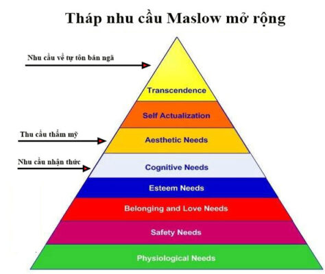 tháp maslow mở rộng